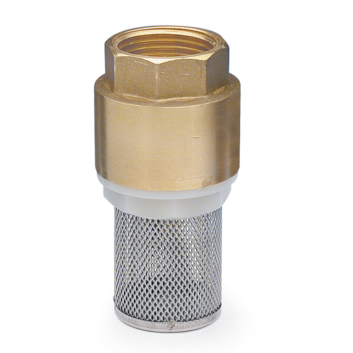 Brass Foot Valves with S/S Screen APM 7050 3